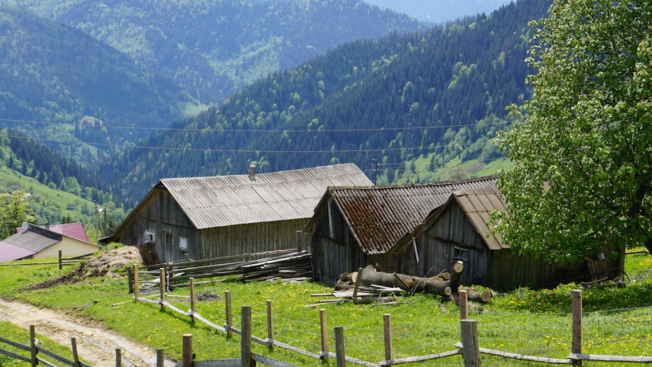 Descoperă vila istorică a Generalului Cartianu din Predeal, acum de vânzare