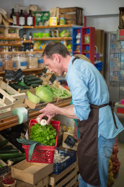 România, pe cale să devină campioană europeană la risipa alimentară: Cum putem schimba acest lucru