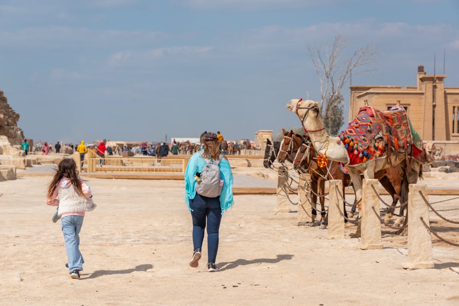 Între distracție și istorie: vacanța perfectă în Egipt pentru familii