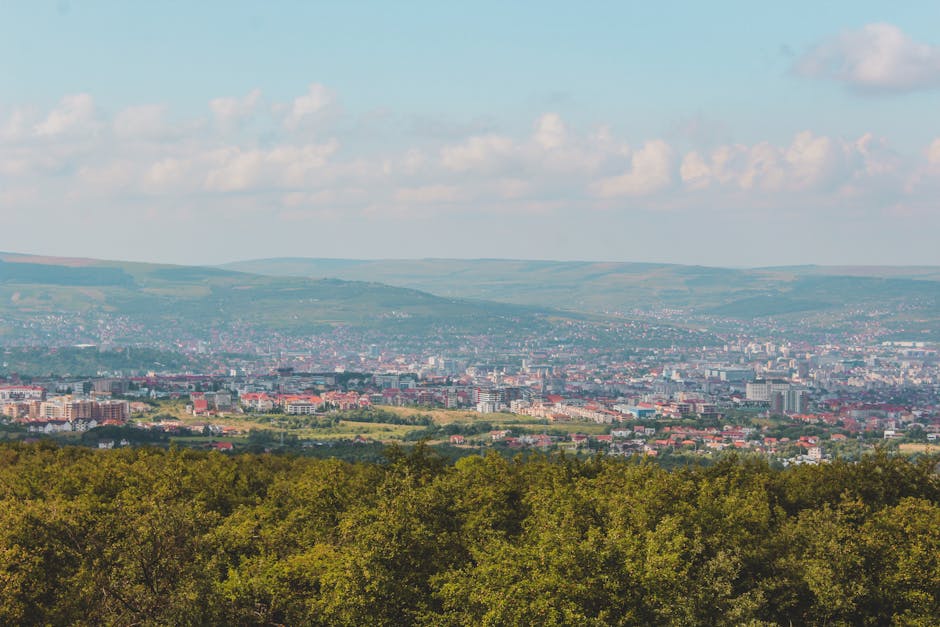 Acte de vandalism la Cluj: copaci distruși pe strada Lunii