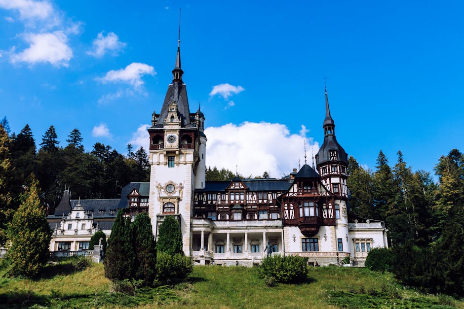 Explorează Bărăganul: Muzeul Municipal Călărași, un loc unde istoria prinde viață