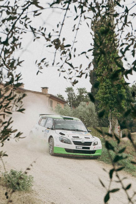 Reușită impresionantă la TESS Rally: tatăl și fiul își împărtășesc podiumul