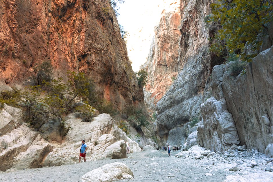 Tehnologie avansată pentru monitorizarea vizitatorilor în Geoparcul Țara Hațegului