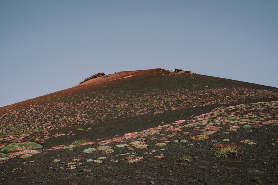 Cercetătorii dezvăluie o metodă revoluționară pentru anticiparea erupțiilor de la Etna