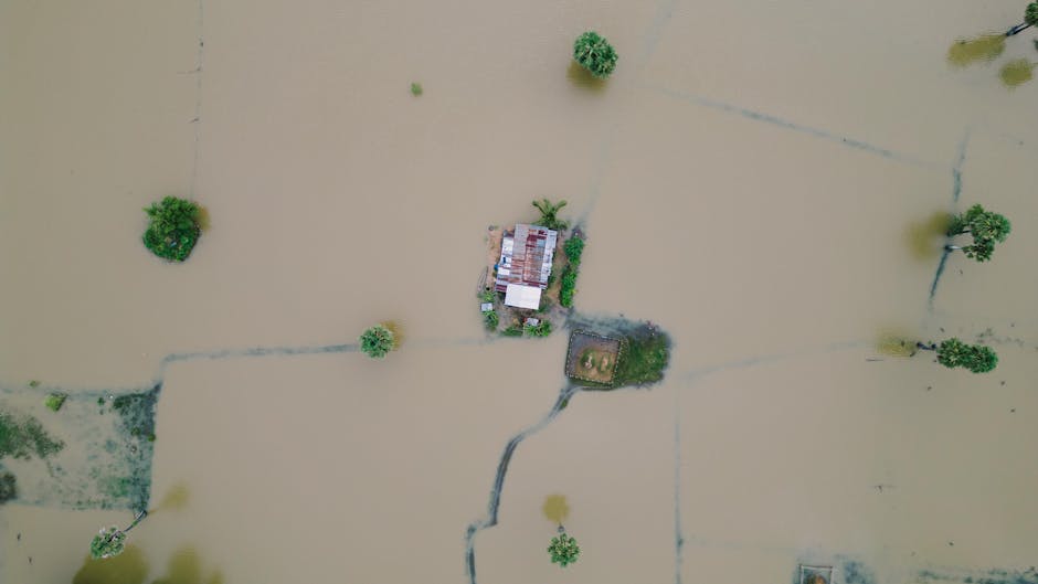 Descoperă cel mai sigur loc de pe Pământ în fața catastrofelor globale