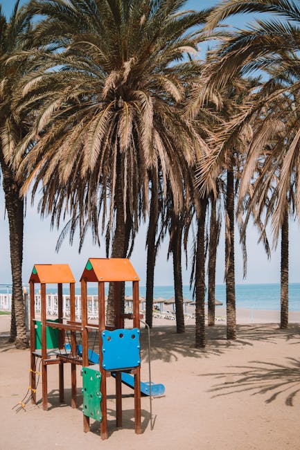 Descoperă noul parc de joacă din Sighet: un loc de distracție și relaxare pentru cei mici