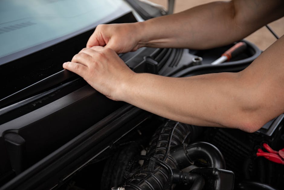 Autoglobus aduce oferte atractive pentru toamna la serviciile Toyota