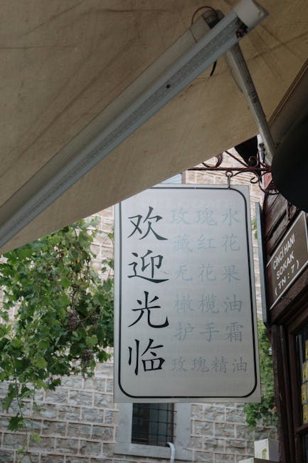 Înscrie-te acum: Cursuri gratuite de limba chineză la UVT