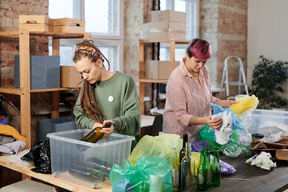 Oradea promovează economia verde printr-un târg dedicat locurilor de muncă