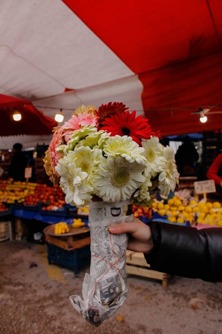 Descoperă târgul vibrant de flori de toamnă din Brașov