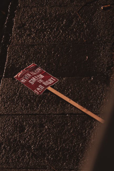 Violente în Dublin: Poliția atacată în timpul protestelor antimigrație