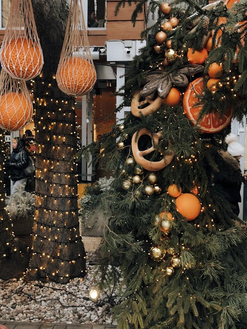 Grădina Botanică din Cluj-Napoca devine un univers strălucitor cu «Garden of Lights»