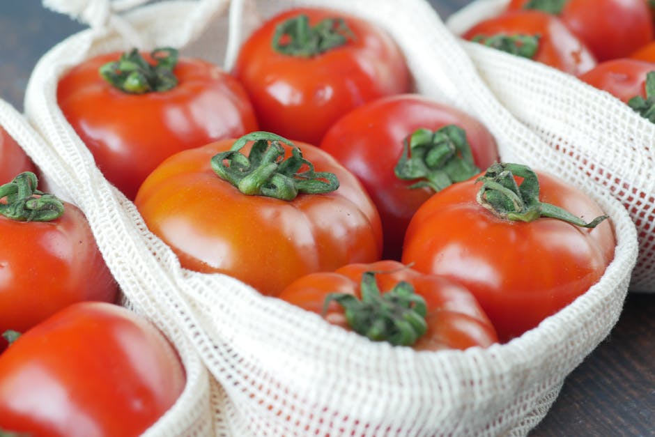 Cluj-Napoca îmbunătățește alimentația școlară cu produse locale sustenabile