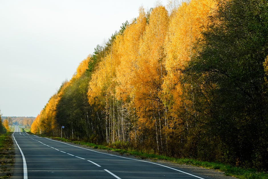 Vacanța de toamnă a elevilor: ce trebuie să știi despre notele la purtare