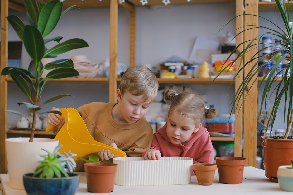 Explorarea creativă a apei: un laborator interactiv pentru familii