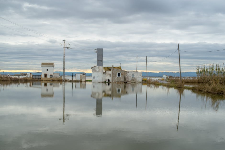 Valencia commemoration: Hundreds gather to honor flood victims from October 2024