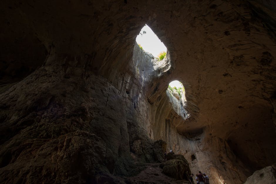Pădurea Craiului devine destinație ecoturistică: ce înseamnă și ce beneficii aduce pentru Bihor