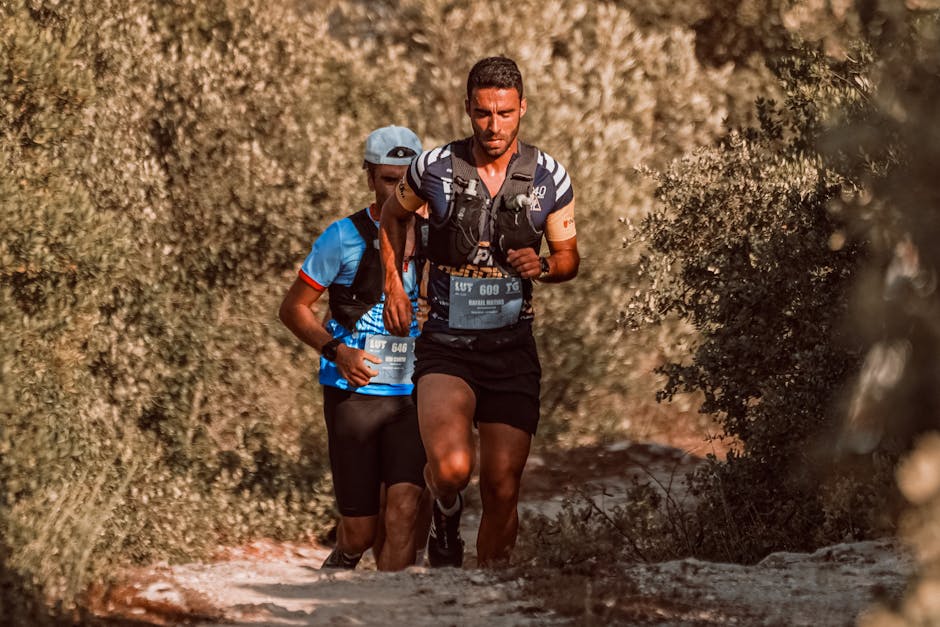 Alergătorii sunt invitați la November Run în Pădurea Schullerwald: cinci trasee pentru toate vârstele!