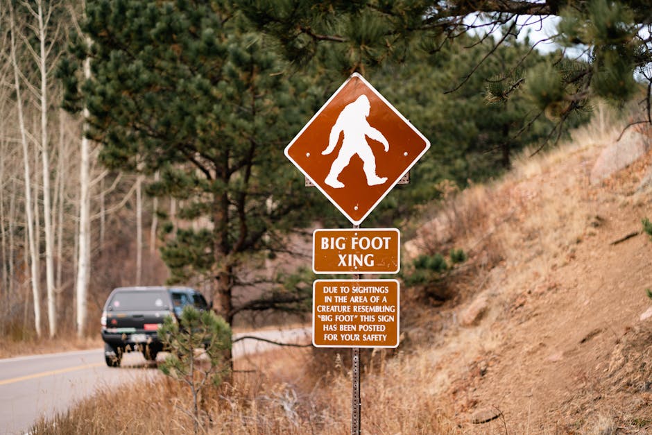 Descoperă misterul lui Bigfoot: legenda vie din pădurile Americii