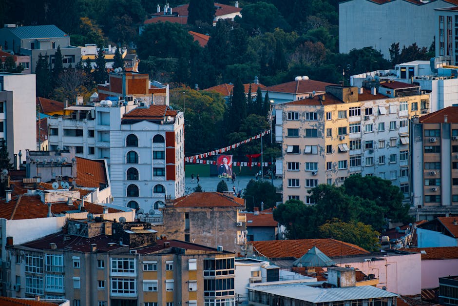 Băbeni: realizări și provocări sub noua administrație a primarului Mariana Dănilă-Mureșan