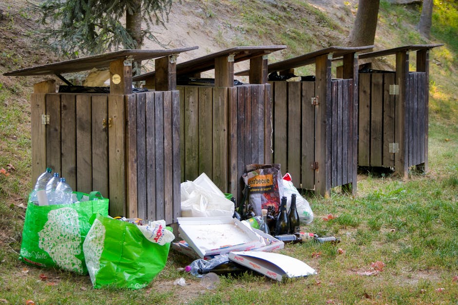 Situația alarmantă din Parcul Zürich: gunoaiele revin rapid, autoritățile se confruntă cu un caz problematic