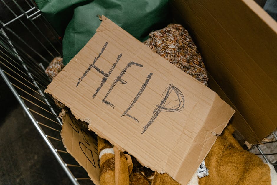 Îngrijorarea clujenilor: de ce persoanele fără adăpost refuză adăpostul municipal