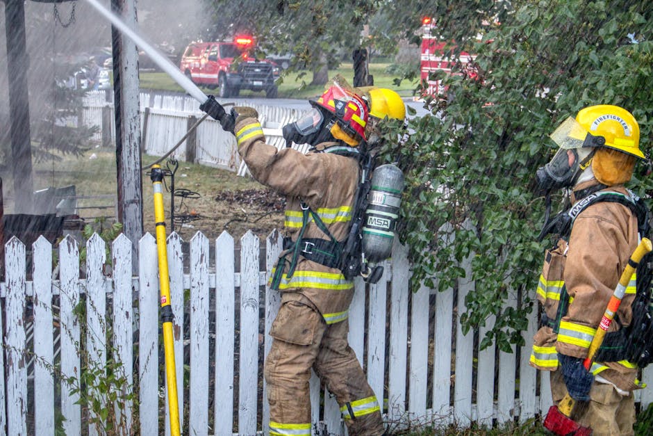 Pompierii salvează un câine blocat într-un gard de fier