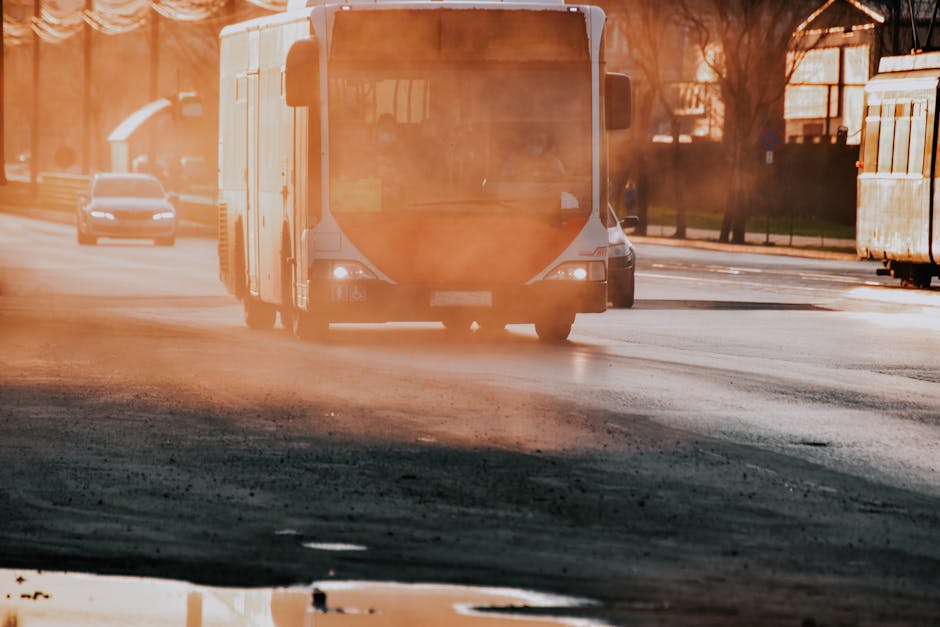 Brașovul în criza traficului: mașinile și dorința părinților pentru școli de elită blochează orașul