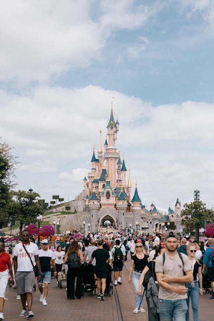Studenți din Suceava explorează cultura franceză prin Bursa SILC
