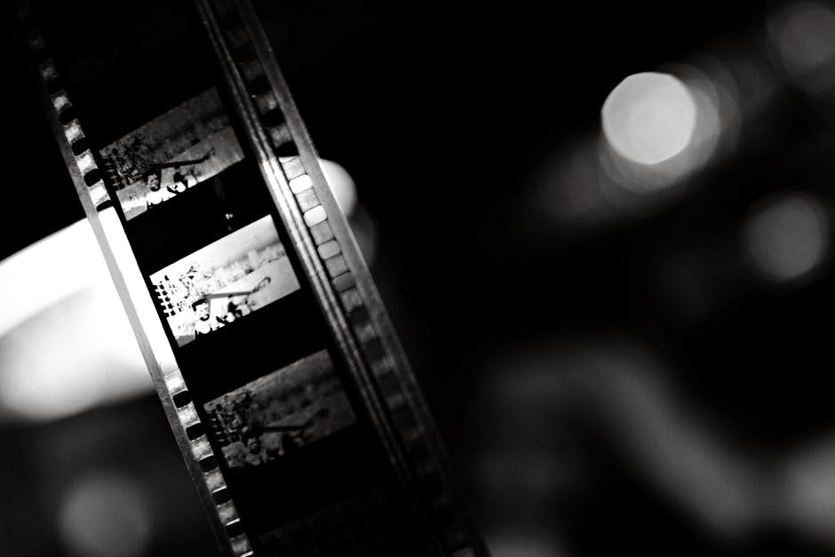 O seară memorabilă la Blaj: „Toți o iubesc pe Touda”, un film despre curaj și visuri
