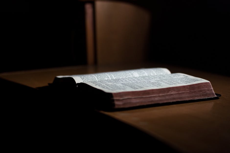 Descoperă universul poeziei la lansarea volumului