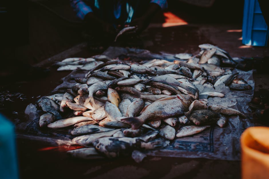 Descoperă tradițiile românești la Târgul Pescăresc din 2025