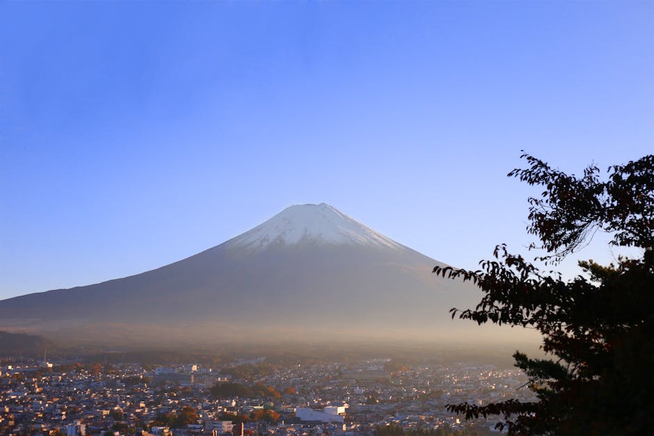 Trump și Japonia: o nouă alianță în era modernă
