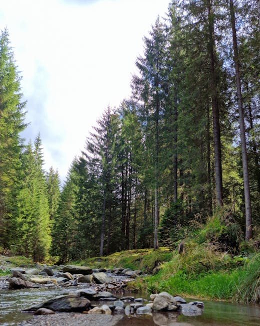 Controversă în Parlament: Legea biodiversității adoptată amid criticile USR