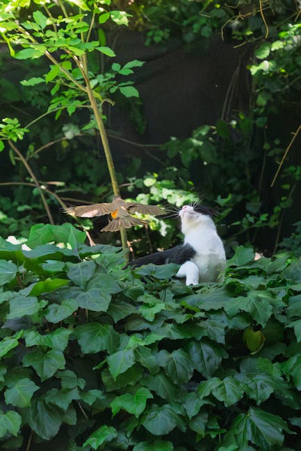 Impactul uman asupra naturii: Oamenii călătoresc de 40 de ori mai mult decât animalele