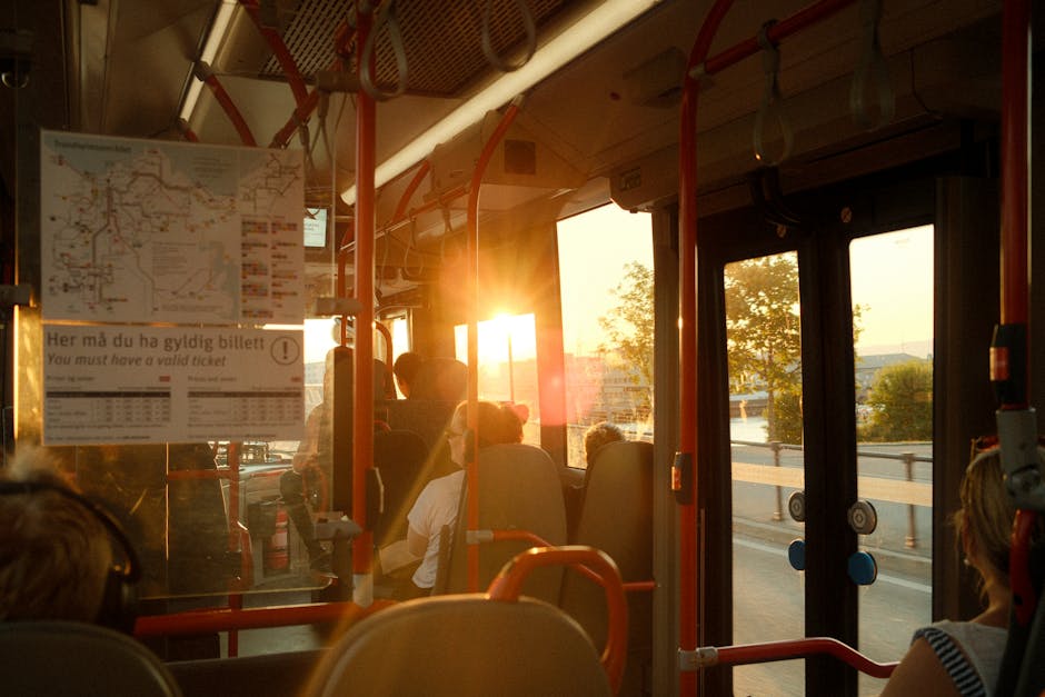 Proiect de ordin pentru facilități de transport pentru veterani și pensionari până în 2026