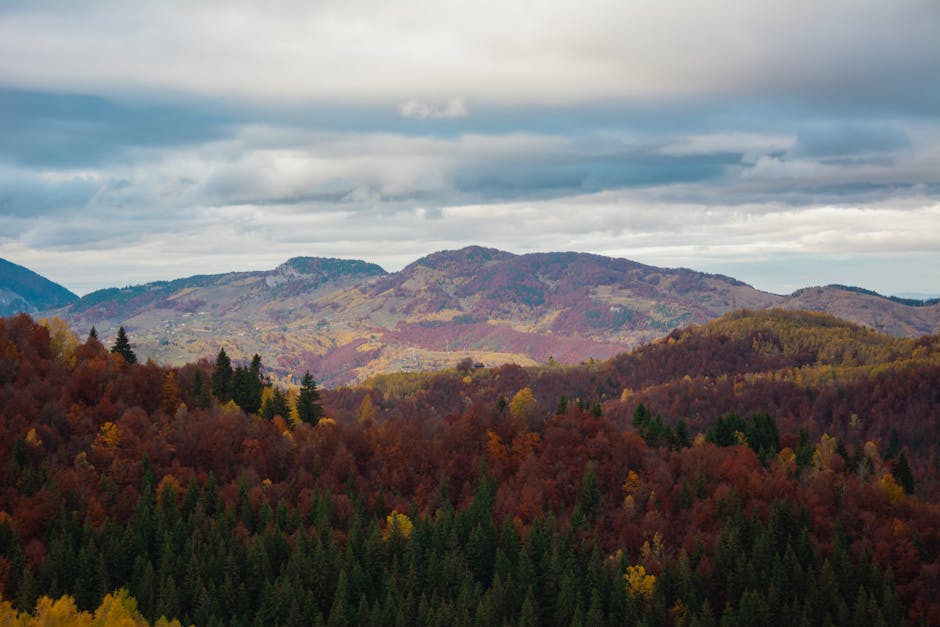 Descoperă toamna la Fundătura Ponorului: un tablou natural de neuitat
