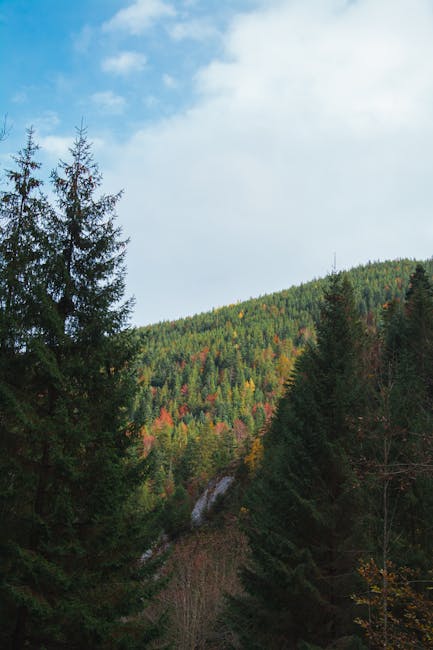 Costurile vacanței de toamnă cresc vertiginos pentru brașoveni