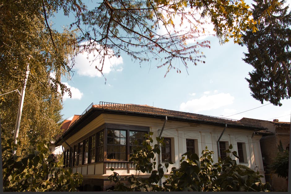 Restaurarea Casei Memoriale Stan Ioan Pătraș: un proiect dedicat patrimoniului cultural