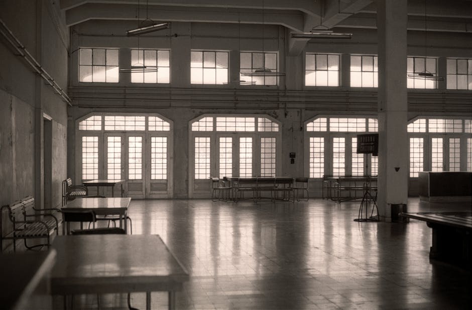 Poliția italiană descoperă un depozit abandonat plin de bunuri furate, doi români arestați