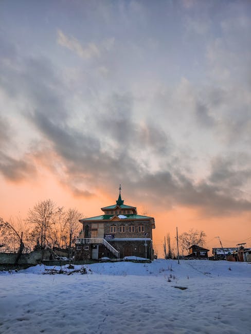 Descoperiri surprinzătoare despre inamicii nevăzuți ai armatei lui Napoleon