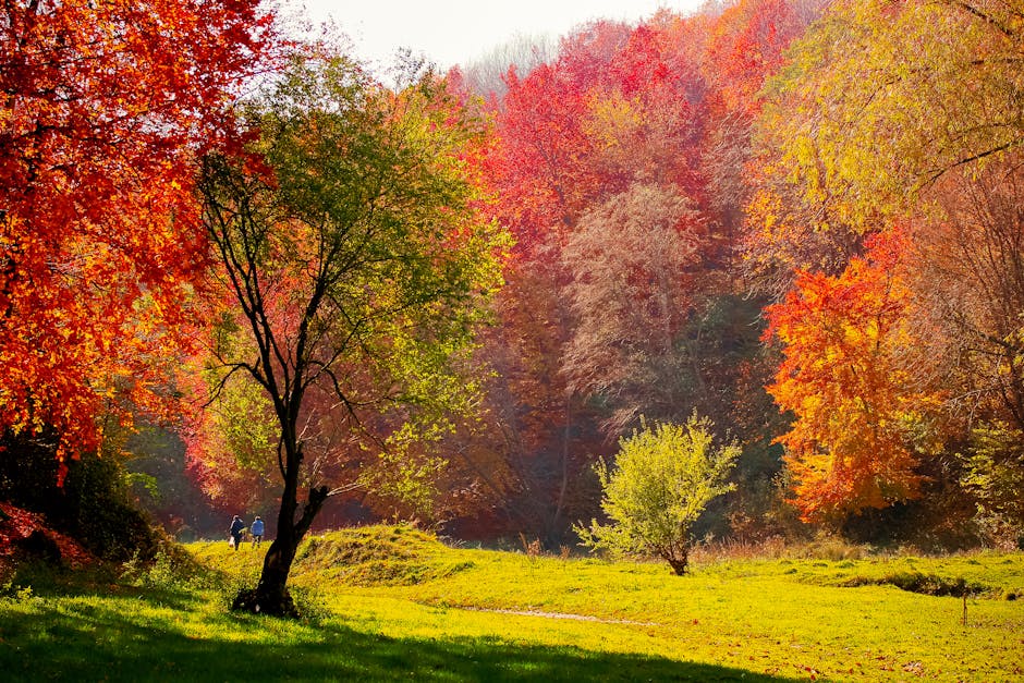 România se bucură de o vară indiană cu temperaturi de până la 28 de grade în octombrie