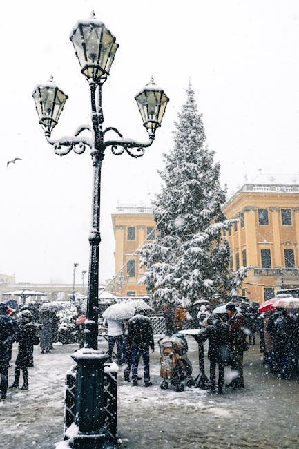 Brașov se pregătește pentru un Crăciun de neuitat în 2025