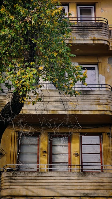 Descoperire șocantă: exhumarea unei femei de 83 de ani din Pantelimon ridică suspiciuni de crimă