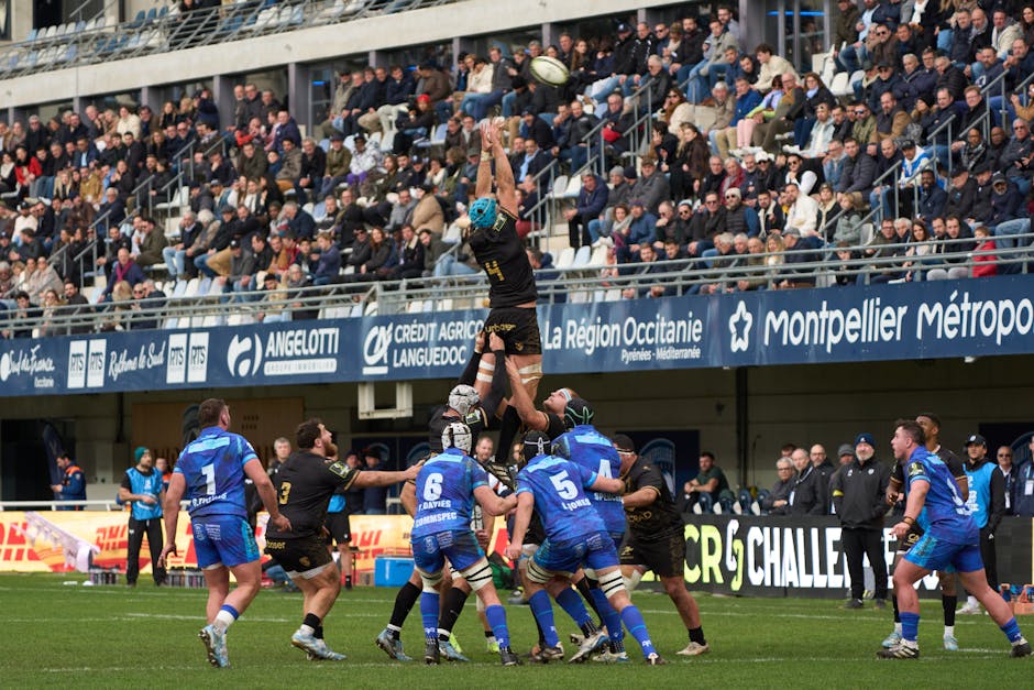 Meci crucial în Cupa României: Timișoara și Baia Mare se duelează pentru semifinale