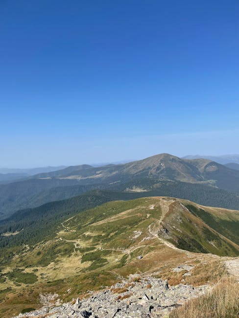 De ce a fost anulat summitul Trump-Putin: detalii din culise