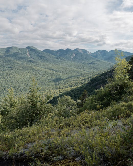 Frații Ușeriu finalizează o călătorie epică de 4600 km pentru Via Transilvanica