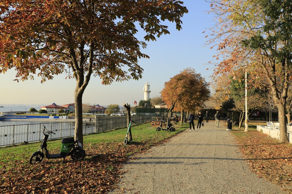 Decizia care va schimba siguranța în parcurile din Buzău după un accident tragic