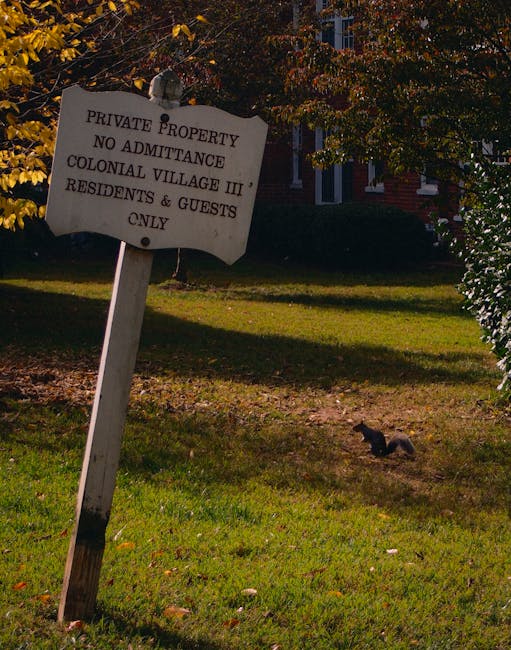 Ursii din Alba: Jandarmii intervin tot mai des pentru a proteja localnicii