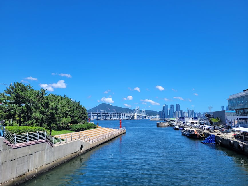 Președintele Coreei de Sud caută sprijin chinez pentru dialogul cu Coreea de Nord